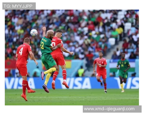 瑞士与喀麦隆足球明星的辉煌历程与精彩对决